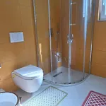 Guest Guri * Shirokë