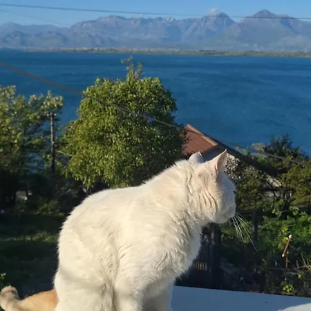 Guest Guri Séjour chez l'habitant *