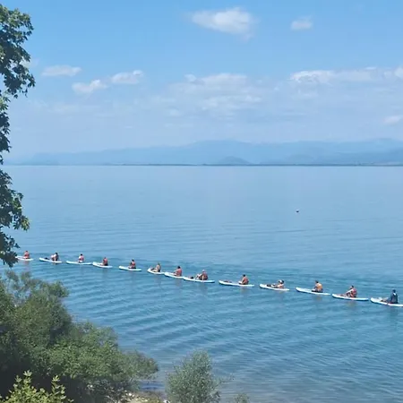 Guest Guri * Široka