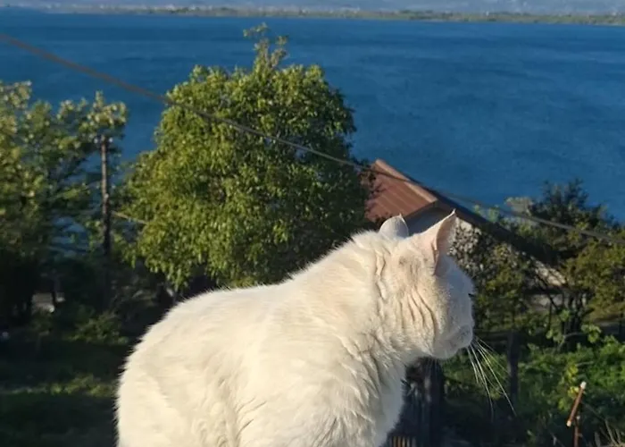 Guest Guri 홈스테이 *