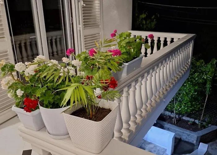 Guest Guri 홈스테이